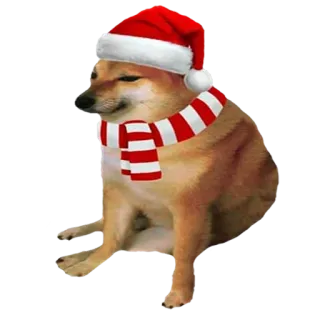 🐶 daefed38 개, Cheems, 크리스마스, 산타, 휴일, 머플러 telegram sticker
