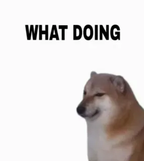 Cheems// @doge69 // @ZoldyckStickers telegram stickers