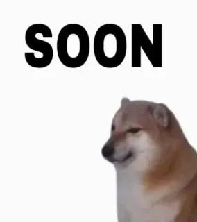 ⌚ 081f005f Doge SOON Meme, Doge, Binnenkort, Hond, Anticipatie telegram sticker