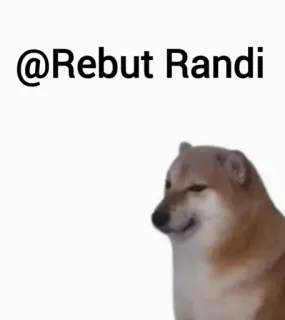 😂 2109ac24 @Rebut Randi telegram sticker
