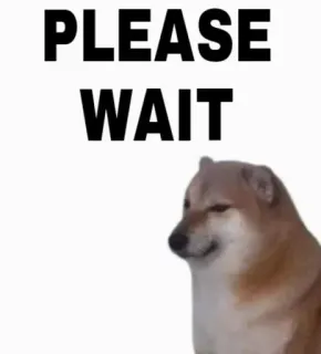 ⌚ 22281b12 PLEASE WAIT hond, meme, wachten, cheems, huisdier, dier telegram sticker
