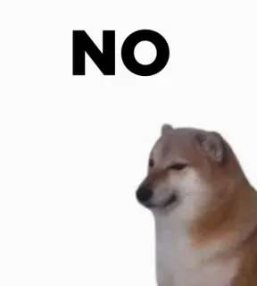 🔥 24953dbd NO hond, meme, nee, shiba inu telegram sticker