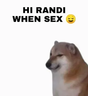 😜 349927ed HI RANDI WHEN SEX 😏 hond, meme, humor, Cheems telegram sticker