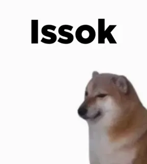 🎭 66363de3 Issok Doge, Hond, Meme, Dier telegram sticker