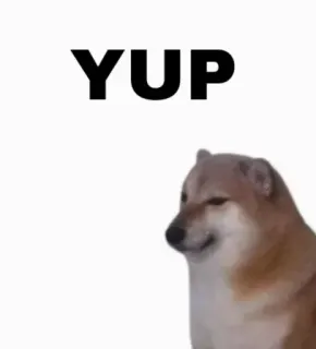 🆗 997473e6 Doge YUP doge, meme, hond, ja telegram sticker