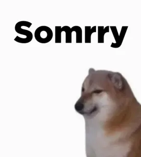 🎭 a555838d Somrry hond, meme, excuus, sorry, cheems, schattig telegram sticker