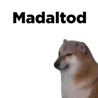 😠 b88da047 Madaltod hond, meme, cheems, dier, grappig telegram sticker
