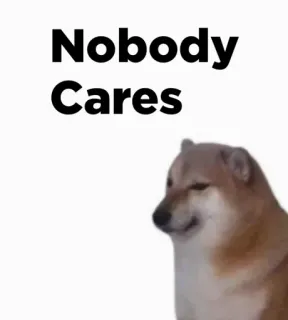 🎭 fc22a04b Nobody Cares meme, doge, hond, sarcastisch, niemand geeft om telegram sticker