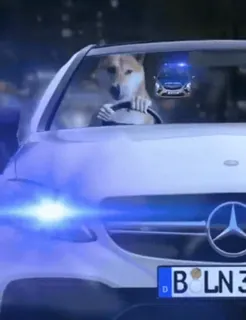 🚔 39a4bbb5 telegram sticker