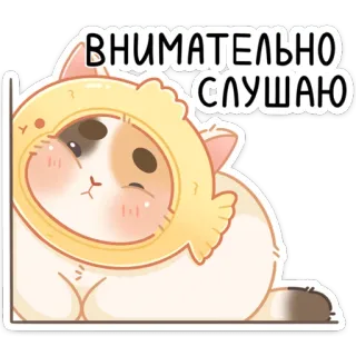 🙉 06ddb22a ВНИМАТЕЛЬНО СЛУШАЮ chat, écoute, mignon, autocollant telegram sticker
