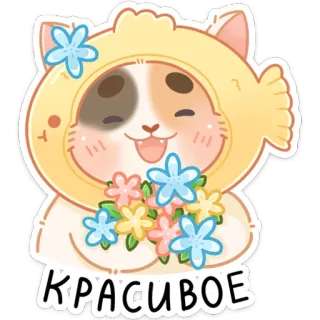 🥰 fe46e4b4 КРАСИВОЕ chat, fleurs, mignon, autocollant, dessin animé, beau telegram sticker