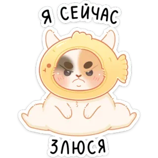😡 0719ef1d Я СЕЙЧАС ЗЛЮСЯ Katze, wütend, süß, Cartoon, Tier, Fischhut whatsapp sticker