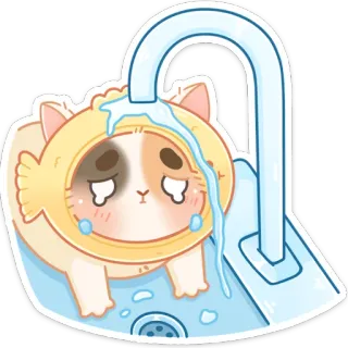 🚰 7e13a710 Katze, traurig, weinen, Fisch, Spüle, Wasser, süß whatsapp sticker