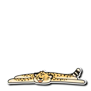 Cheetah whatsapp stickers