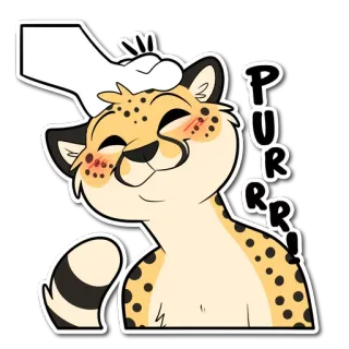 😽 f4739eb1 PURRR! báo gêpa, mèo, tiếng gừ, dễ thương, vuốt ve, vui vẻ telegram sticker