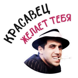 😎 1b8eef17 КРАСАВЕЦ ЖЕЛАЕТ ТЕБЯ homme, cigarette, chapeau, texte, russe, fumeur telegram sticker