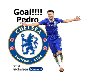 ⚽ 445102b2 CHELSEA FOOTBALL CLUB Челси ФК, Футбол, Футбол, Спорт, Челси, Английский футбол whatsapp sticker