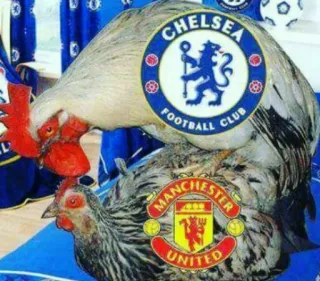 -CFC Reaction-  @Amirreza_nk whatsapp stickers