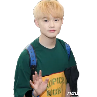 👋 329ff6ca TROPICAL NIGHT person, porträt, k-pop, promi, winken telegram sticker