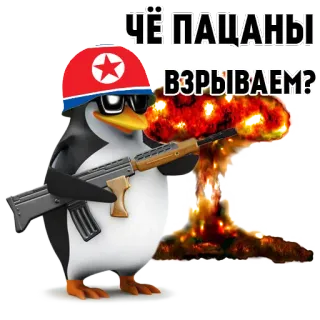 🇰🇵 00a1c7aa ЧЁ ПАЦАНЫ ВЗРЫВАЕМ? pingwin, broń, eksplozja, korea północna, wojsko telegram sticker