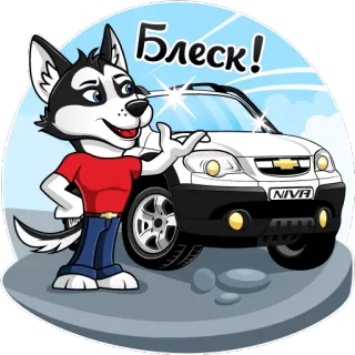 👍 0cfd9457 Блеск! Husky, Coche, Ruso, Brillo, Dibujo animado whatsapp sticker