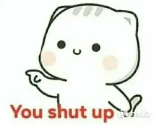 🤫 cbb2b323 You shut up gatto, carino, adesivo, divertente, stai zitto telegram sticker