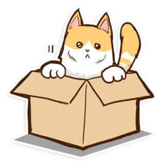 🐱 6cdea0de gatto, scatola, carino, animale, adesivo telegram sticker