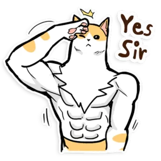 👍 bc1502b0 Yes Sir gatto, saluto, muscoli, sì signore, animale, cartone animato telegram sticker