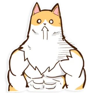👌 eac0080a gatto, muscolo, muscoloso, animale, animale domestico telegram sticker