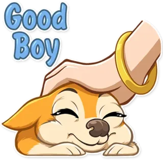 🙌 f1fe9733 Good Boy 개, 착한 아이, 애완동물, 귀여운, 동물 telegram sticker