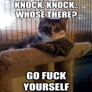 👏 181d0daf KNOCK, KNOCK.. WHOSE THERE?
GO FUCK YOURSELF Katze, beleidigend, Witz, Meme, Klopf Klopf whatsapp sticker