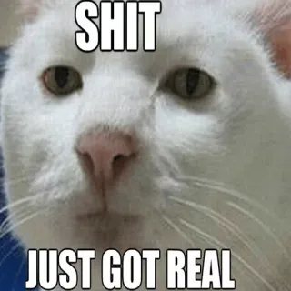 😗 36bfa98d SHIT
JUST GOT REAL Katze, Meme, Mist, Echt, Lustig whatsapp sticker