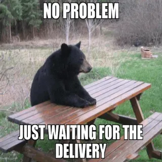 🤓 3f16f6e5 NO PROBLEM
JUST WAITING FOR THE DELIVERY Bär, Tisch, Warten, Lieferung, Tier, Lustig whatsapp sticker