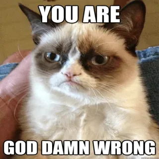 👎 8c2662d0 Grumpy Cat YOU ARE GOD DAMN WRONG grumpy cat, meme, Katze, lustig, verdammt, falsch whatsapp sticker