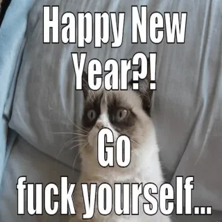 Fuck New Year :) telegram stickers