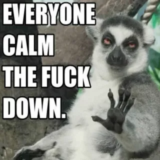 🙄 c5dc84c4 EVERYONE CALM THE FUCK DOWN. Lemur, beruhig dich, Meme, lustig, Tier whatsapp sticker