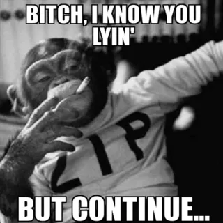 😎 f1947986 BITCH, I KNOW YOU LYIN' BUT CONTINUE... Affe, Meme, beleidigend, Slang whatsapp sticker