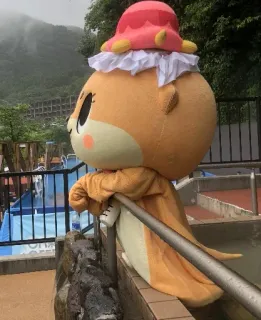 🐻 13bf3bde telegram sticker