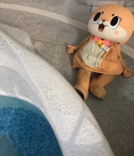 🐻 8133f57e telegram sticker