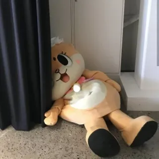 🐻 883d3915 telegram sticker