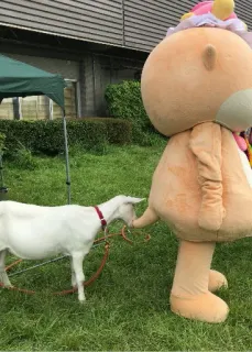 🐻 9dd8fa51 ヤギ, 動物, マスコット, アウトドア, 草, コスチューム telegram sticker