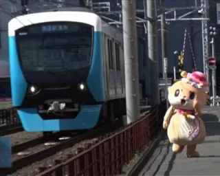 🐻 d062c94d telegram sticker