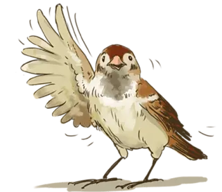 Chik Chirik the sparrow telegram stickers