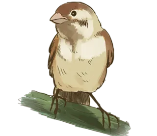 😒 2ade09a8 oiseau, animal, moineau, faune, nature telegram sticker