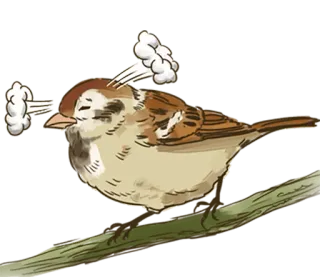 😠 3648669e oiseau, moineau, animal, froid, hiver, mignon, aviaire telegram sticker