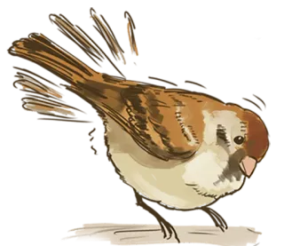 🐤 48c563ba oiseau, animal, moineau, nature telegram sticker