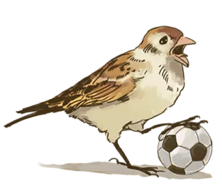 ⚽️ 665c67d4 oiseau, moineau, ballon de foot, animal, sport, ballon telegram sticker