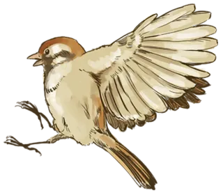 🐤 a6626485 oiseau, moineau, faune, nature, vol, animal telegram sticker