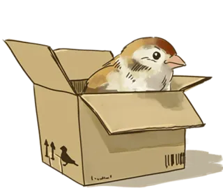 😒 a9509dd0 oiseau, boîte, animal, mignon, moineau telegram sticker
