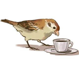 ☕️ b9d6a198 oiseau, café, tasse, boisson, moineau, nature telegram sticker